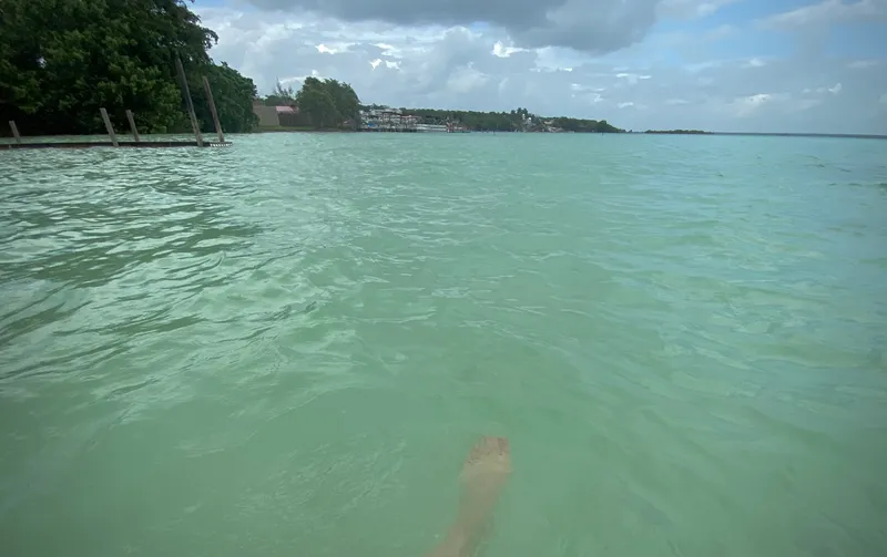 Lagoon water and shoreline at Bacalar, Quintana Roo