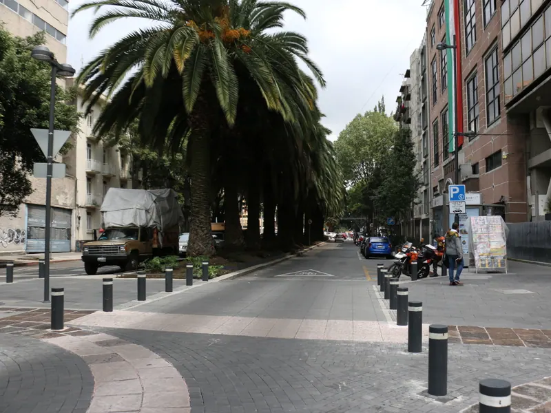 Palm-lined street in Roma Norte, Mexico City